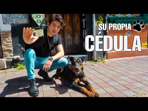 CÉDULA PARA MASCOTAS ¿ Qué es y cómo funciona ? | José Andrés |
