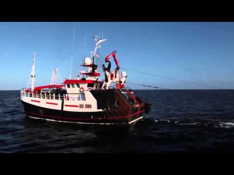 CELTIC SEA HERRING 2015