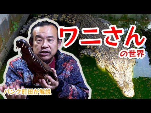 ワニについて詳しく解説
