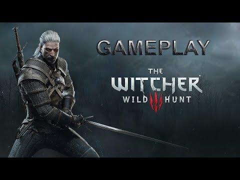 The Witcher 3: Wild Hunt Gameplay (EVGA GTX 1070 FTW)