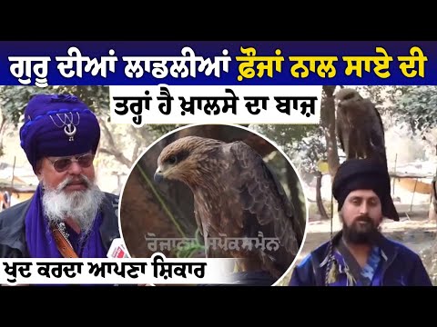 ਗੁਰੂ ਦੀਆਂ ਲਾਡਲੀਆਂ ਫ਼ੌਜਾਂ ਨਾਲ ਸਾਏ ਦੀ ਤਰ੍ਹਾਂ ਹੈ ਖ਼ਾਲਸੇ ਦਾ ਬਾਜ਼, ਖੁਦ ਕਰਦਾ ਆਪਣਾ ਸ਼ਿਕਾਰ