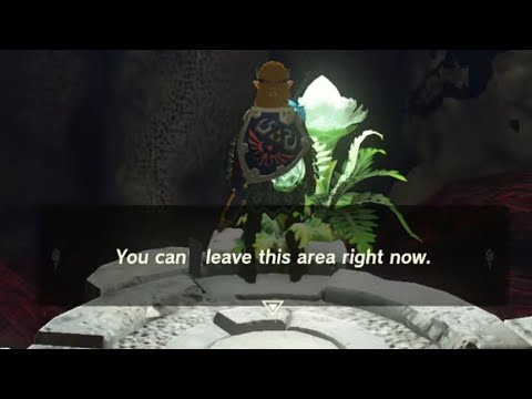 A faster and easier method to Leave or Escape the Demon King's Army Fight in Tears of the Kingdom