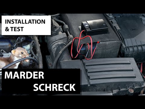 MARDERSCHRECK fürs KFZ / Einbau und Test