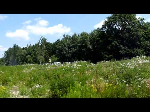 BMW E36 325 - ELTRANS  41.RAJD FESTIWALOWY OPOLE