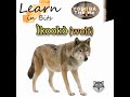 Animals in Yoruba Language : Wolf 🐺 #learn #animals