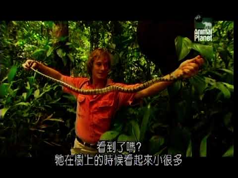 Austin Stevens -In Search of the Silent Fate