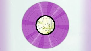 Brian Eno . Music For Airports (1978)