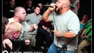 Wisdom in Chains   Fade