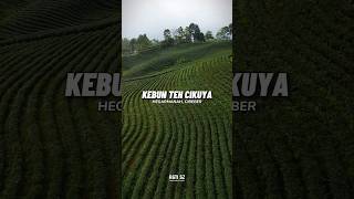 Download lagu Kebun Teh Cikuya, Hegarmanah. Kec.Cibeber #drone #agtisz #lebakbanten #kebunteh #cikuya mp3 Download lagu Kebun Teh Cikuya, Hegarmanah. Kec.Cibeber #drone #agtisz #lebakbanten #kebunteh #cikuya mp3