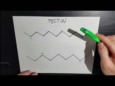 Why is Calcium Chloride in Black Beans?