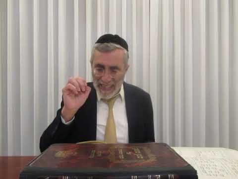 הרב יהושע ביבי - פורים תשפ"ו - שיעור מס' 030 -  סיכום ברכות שעשה.ושהחיינו.והרב את ריבנו להלכה