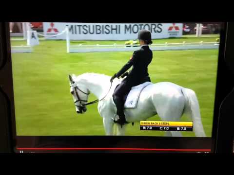 Vittoria Panizzon and Borough Pennyz.  Badminton dressage 2016