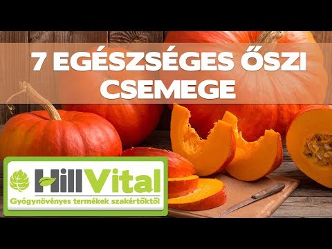Orvos válaszol - Protexin