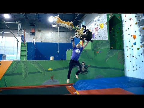 The Jungle Movement Academy