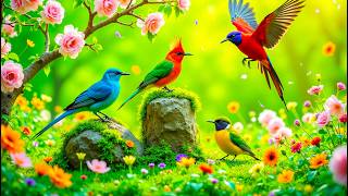 ☀️ Relaxing Piano & Birdsongs | Quiet Lakeside Escape with Sweet Birds and Piano Melodies