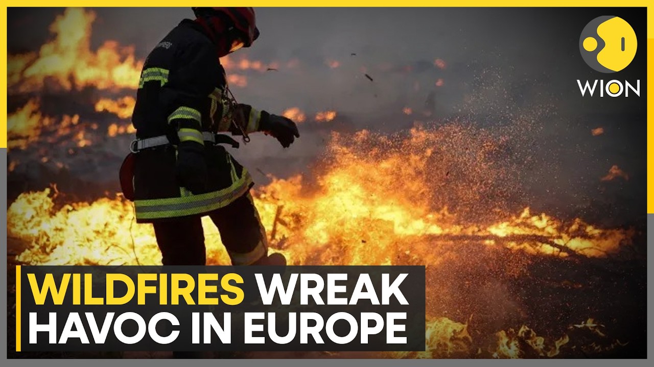 Wildfires Threaten Bordeaux And Rage Across Spain | WION