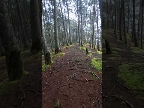 Entrerrios, Antioquia, Embalse Riogrande #colombia #travel #antioquia #bosque #trip #nature
