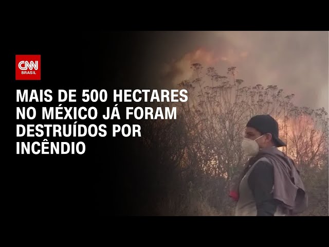 Voluntários lutam para conter incêndio florestal devastador no México | CNN BRASIL