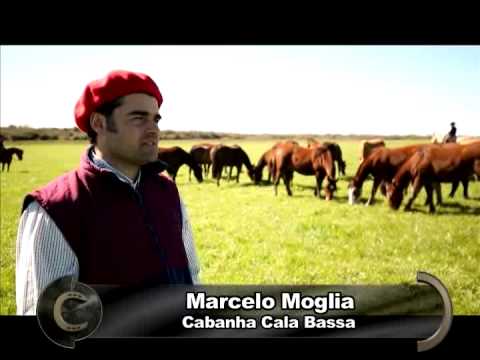 Here comes Redomão na Lagoa 2014!!!