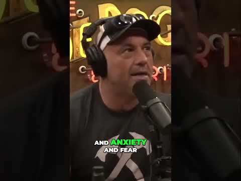 The Beauty of Chaos (How to find beauty in chaos)