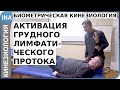Биометрическая кинезиология. Активация грудного лимфатического протока. Германия Биометрическая кинезиология. Активация грудного лимфатического протока. Германия