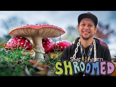 'SHROOMED' Founder Uses Psychedelics to Quit Drinking & Heal the World!🍄🎙️#fadedtruth #shroomtrip