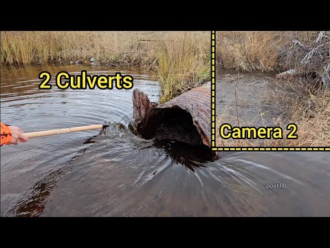 Unclogging, Finding A Secret Second Culvert Also Completely Clogged
