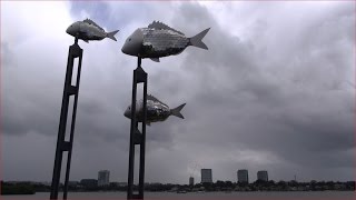 preview picture of video 'INAUGURAL SYDNEY HARBOUR & COAST WALK - DAY 12 - WOOLWICH TO MEADOWBANK'