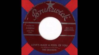 The Crickets - Love&#39;s Made A Fool Of You