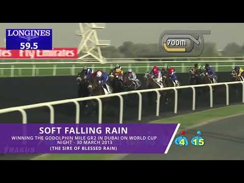 Soft Falling Rain - Sire
