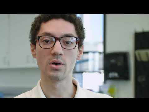 Measuring the effects of larval life stress on adult anxiety behavior in Drosophila melanogaster