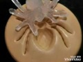 9 Amazing Things Made Of Hot Glue Gun