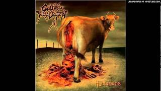 Cattle Decapitation- Chummified