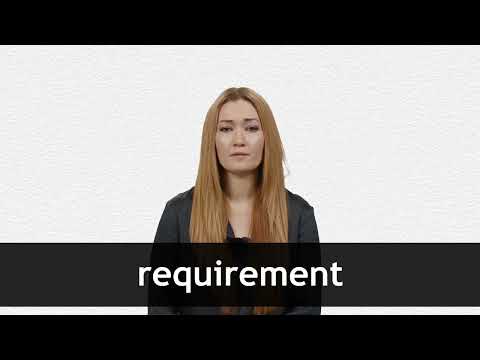 WHAT DOES REQUIREMENT MEAN visual data 6