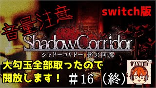 【ライブ配信】※絶叫注意※　大勾玉を全部使ってやる！【switch版　シャドーコリドー　影の回廊】