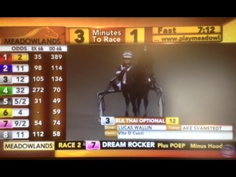 Lucas Wallin gelijk 3e in zijn eerste USA koers - Meadowlands USA april 3, 2015