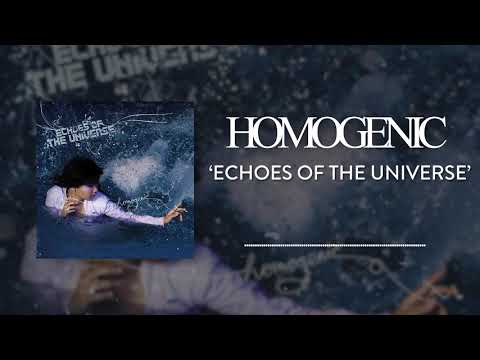 Homogenic - Guitar Song (Official Audio)