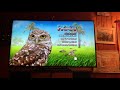 Hoot Dvd Menu