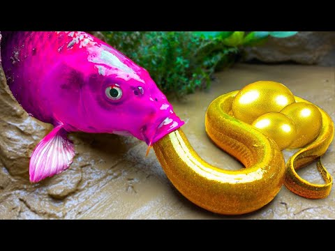 NEWFish Videos❤️Stop Motion Fish Magnet Catching Fishing Satisfying Octopus Carp Pink Eel