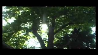 Download lagu Zard   tsubasa wo hirogete mp3