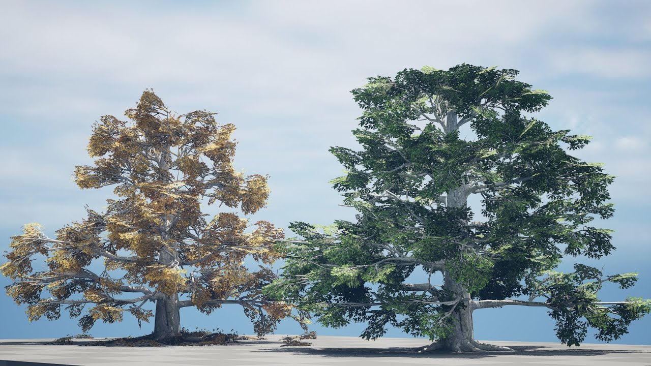 Fall and green broadleaves beech trees 3D Model