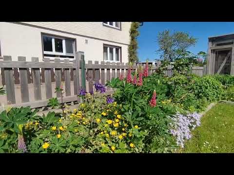 Unser Garten ist in Sommerlaune 😊