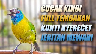 Download lagu MATERI FAVORIT! MASTERAN CUCAK KINOI GACOR FULL TEMBAKAN KUNTI PANJANG SPEED RAPAT SUARA JERNIH JEDA mp3