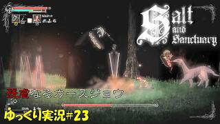 【Salt and Sanctuary】＃23「可愛い見た目して尖ってる」【ソルトアンドサンクチュアリ初見ゆっくり実況】