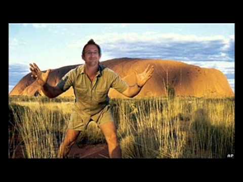 Micky T Turtle Hunter.wmv