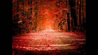 Track 9 from Mirage - Virtual Friend - Armin Van Buuren