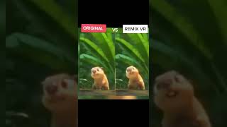 Download lagu Hi my name is Clara the capybara! #rio #tiktoktrend mp3 Download lagu Hi my name is Clara the capybara! #rio #tiktoktrend mp3