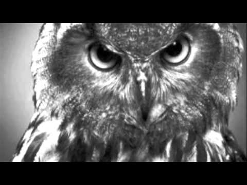 download lagu mp3 mp4 Findlay Brown Losing The Will To Survive, download lagu Findlay Brown Losing The Will To Survive gratis, unduh video klip Findlay Brown Losing The Will To Survive