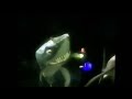 Finding Nemo Dvd Commercial