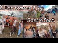 Alton Towers Scarefest Vlog